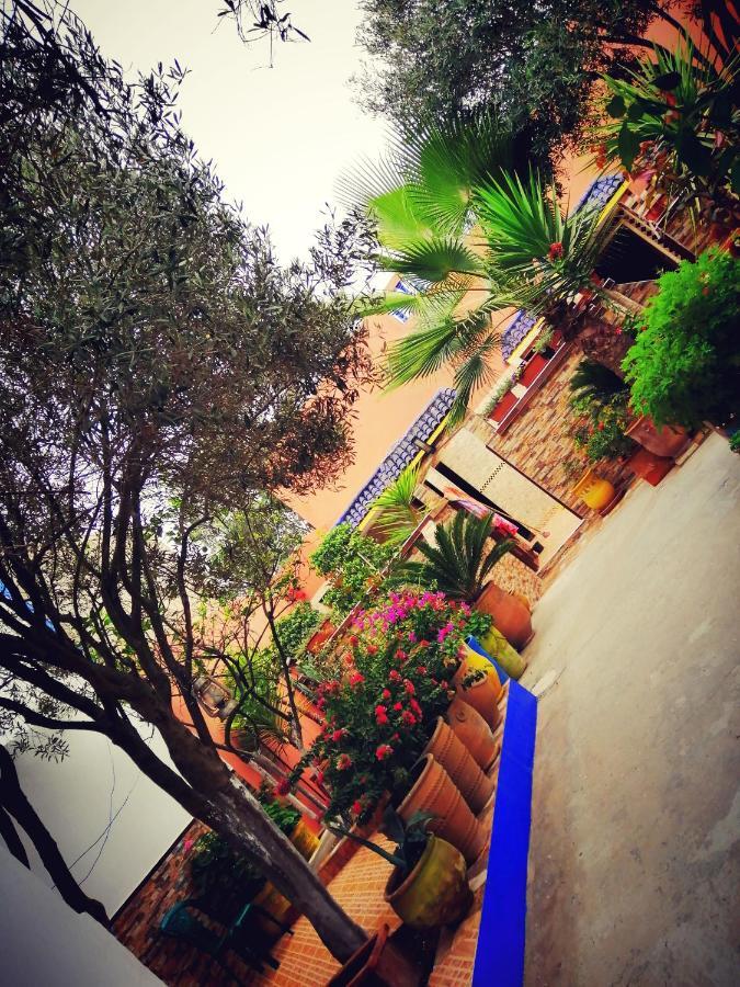 Appartement Dar Ezzitouna à Oualidia Extérieur photo